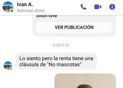 Enlace a El periquito educado