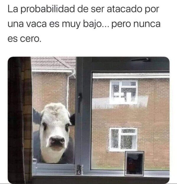 ataque,vaca,probabilidad,ventana