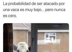 Enlace a Ándate con ojo