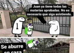 Enlace a Padres que no saben que hacer con sus hijos