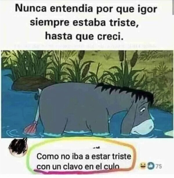 Meme_otros - ¿Por qué Igor siempre estaba triste?