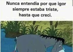 Enlace a ¿Por qué Igor siempre estaba triste?