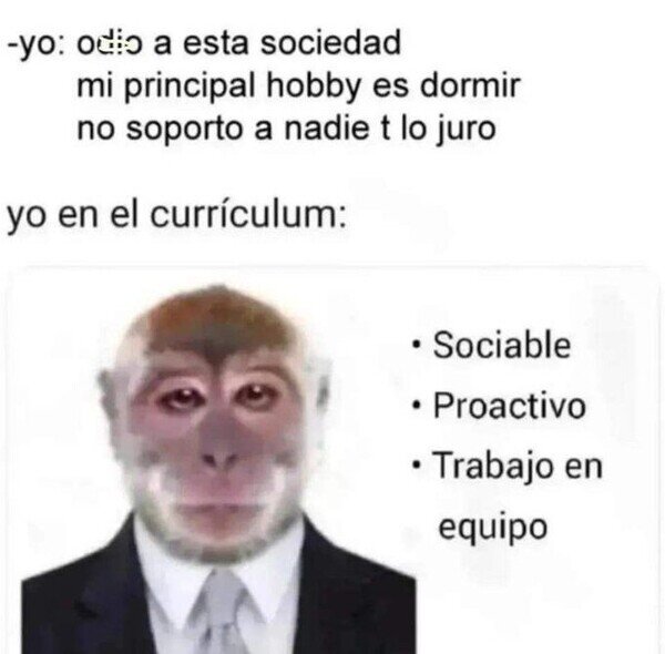 Meme_otros - Alguna mentirijilla hay en mi curriculum