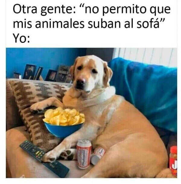 Meme_otros - Lo daría todo por verle feliz