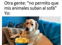 Enlace a Lo daría todo por verle feliz