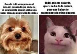 Enlace a A un vecino mío le pasó...