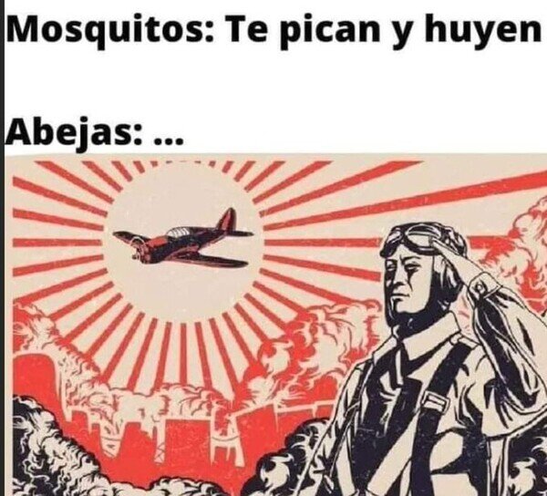 Meme_otros - Se sacrifican por la causa