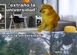 Enlace a No sé por qué pero la extraño