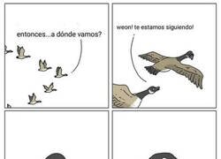 Enlace a Sin rumbo alguno