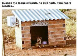 Enlace a Hana vivirá como una reina