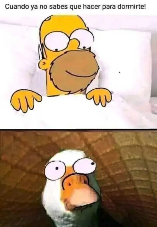Meme_otros - A Vladimir le gusta esto