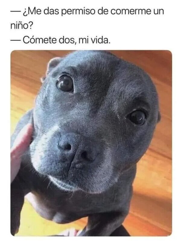 Meme_otros - Cómo le voy a decir que no...