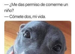 Enlace a Cómo le voy a decir que no...