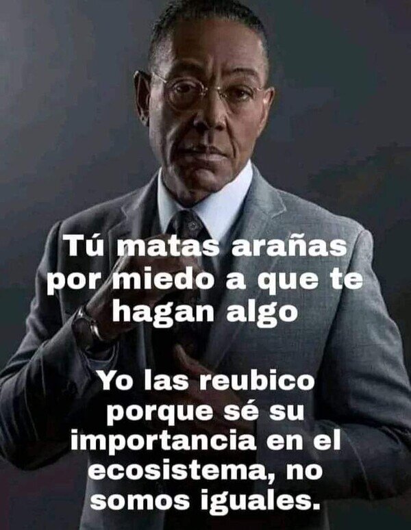 Meme_otros - No somos lo mismo