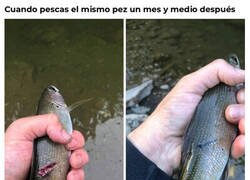 Enlace a Hola de nuevo, amiguito