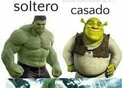 Enlace a La vida en verde