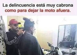 Enlace a Aprovechamiento