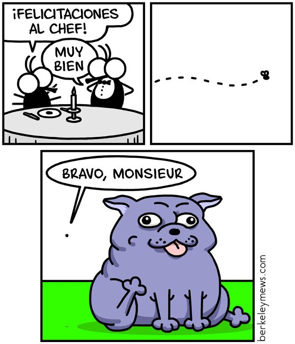 Meme_otros - La cagó muy rica
