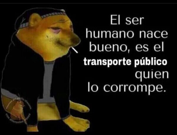 Meme_otros - Esto es así