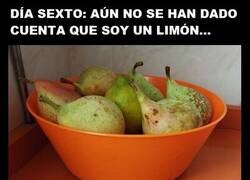 Enlace a El limón infiltrado