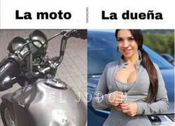 Enlace a Encaje perfecto