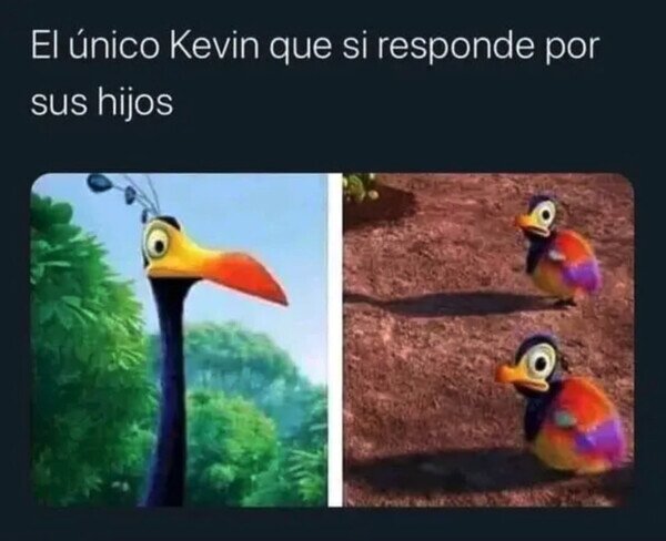 Otros - Este Kevin no es un cani despreocupado