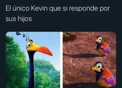 Enlace a Este Kevin no es un cani despreocupado