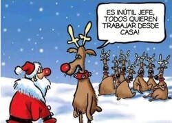 Enlace a Los nuevos tiempos