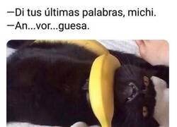 Enlace a Atrapado por un plátano