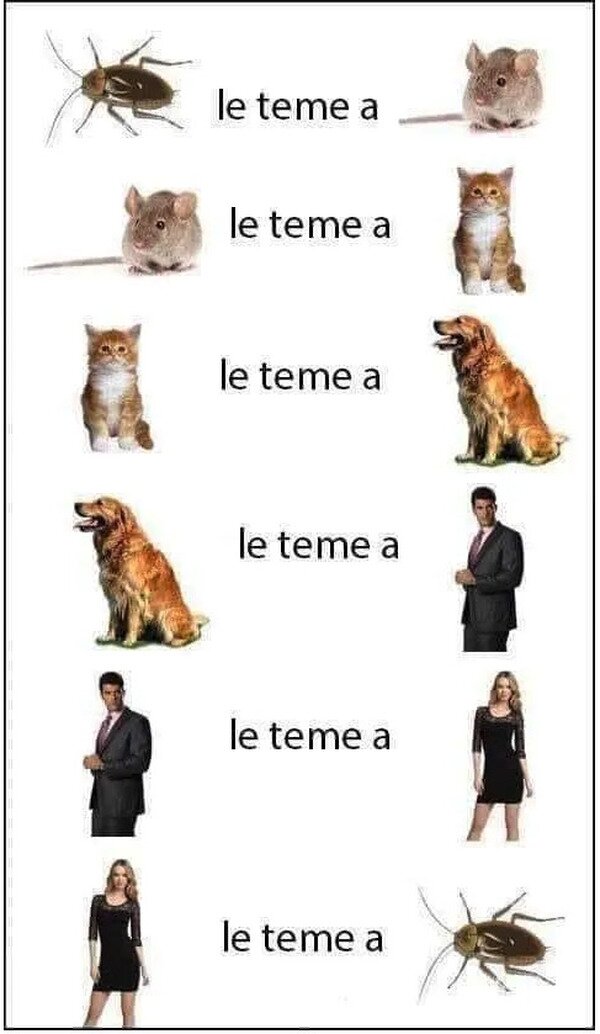 Meme_otros - El ciclo del miedo
