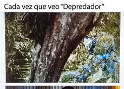 Enlace a Podría estar en cualquier sitio