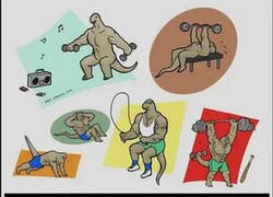 Enlace a Si se hubieran preparado mejor para el impacto...