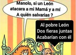 Enlace a Pobre león