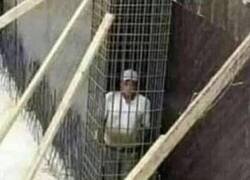 Enlace a La película que me descargué por Internet