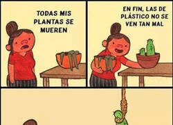 Enlace a Cuando no tienes mano con las plantas