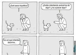 Enlace a ¡A eso se refería!