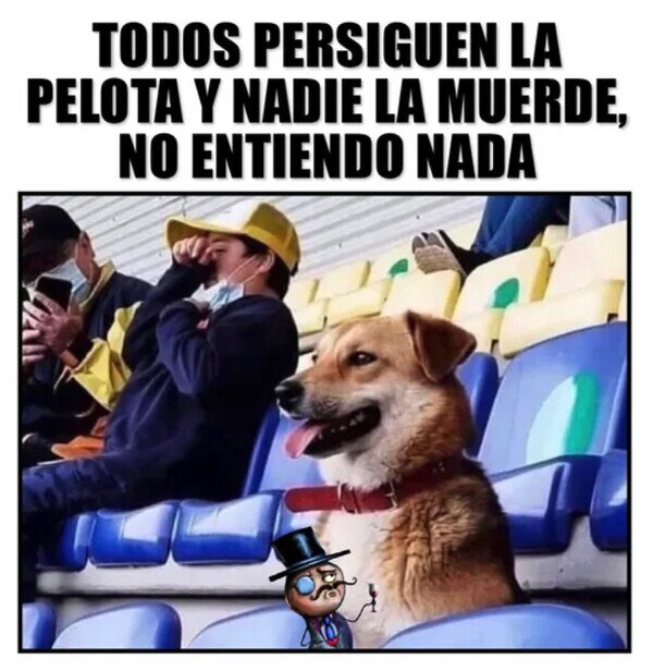 Meme_otros - El perro que fue a ver fútbol