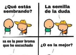 Enlace a Duda sembrada