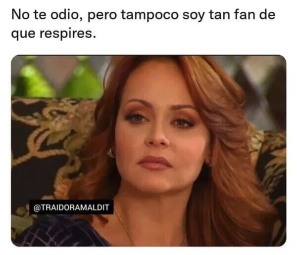 Otros - No es que te odie, pero...