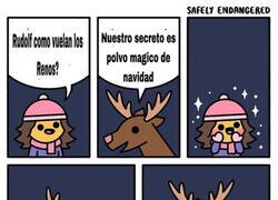 Enlace a El secreto de la Navidad