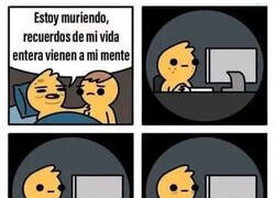 Enlace a Una vida bien vivida