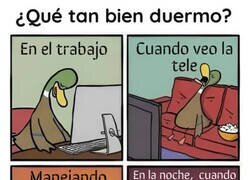 Enlace a No tengo salud del sueño