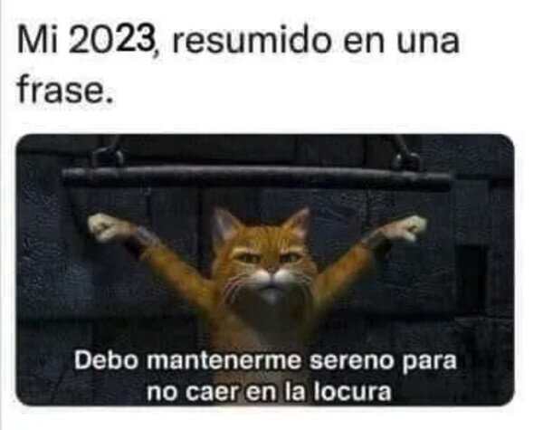 Meme_otros - Así acabo el año
