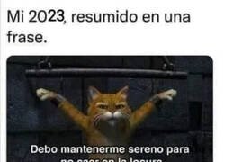 Enlace a Así acabo el año