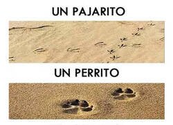 Enlace a Estas fiestas no seas animal