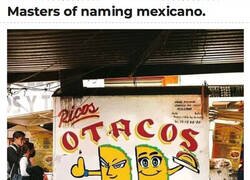 Enlace a Otakus o tacos