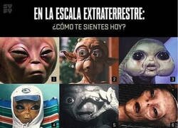 Enlace a Yo vivo en un 6 constante