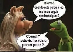 Enlace a Valió la pena