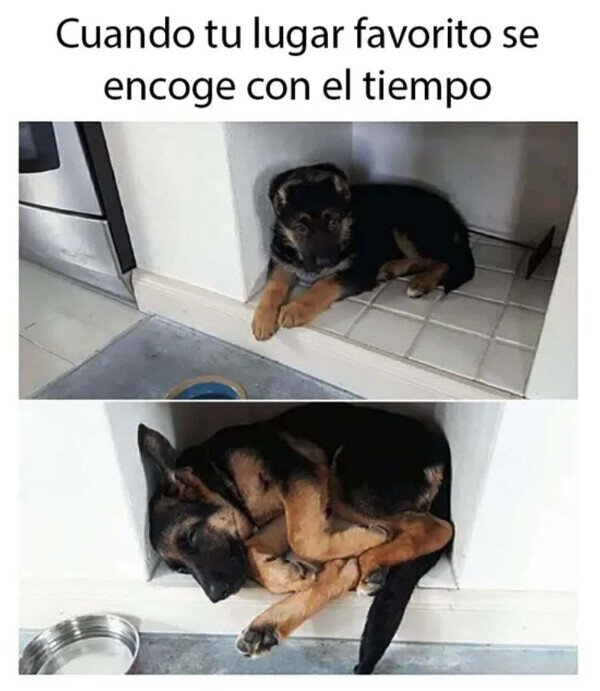 Meme_otros - Cada vez menos espacio