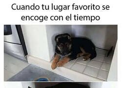 Enlace a Cada vez menos espacio